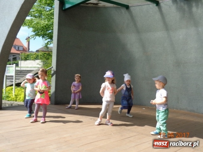 Zdjęcie w galerii na portalu naszraciborz.pl: Baw się z nami, Fikusiami  wiadomości z regionu