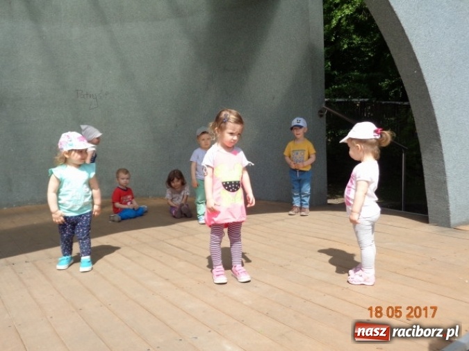 Zdjęcie w galerii na portalu naszraciborz.pl: Baw się z nami, Fikusiami  wiadomości z regionu