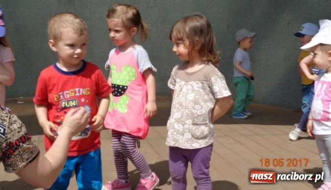 Zdjęcie w galerii na portalu naszraciborz.pl: Baw się z nami, Fikusiami  wiadomości z regionu