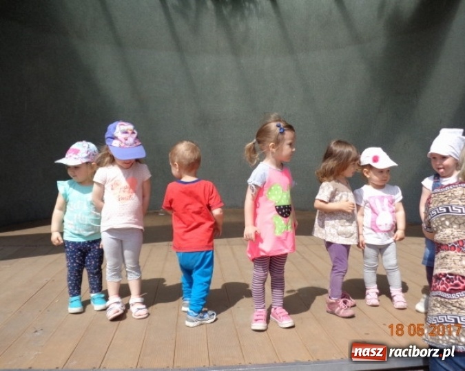 Zdjęcie w galerii na portalu naszraciborz.pl: Baw się z nami, Fikusiami  wiadomości z regionu