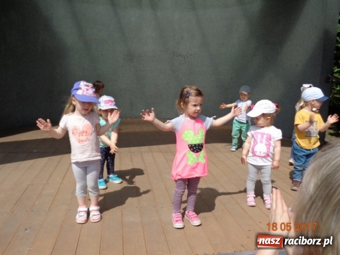 Zdjęcie w galerii na portalu naszraciborz.pl: Baw się z nami, Fikusiami  wiadomości z regionu