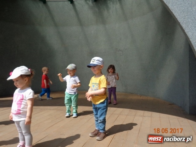 Zdjęcie w galerii na portalu naszraciborz.pl: Baw się z nami, Fikusiami  wiadomości z regionu