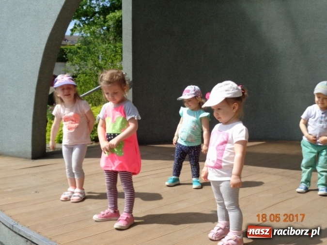 Zdjęcie w galerii na portalu naszraciborz.pl: Baw się z nami, Fikusiami  wiadomości z regionu