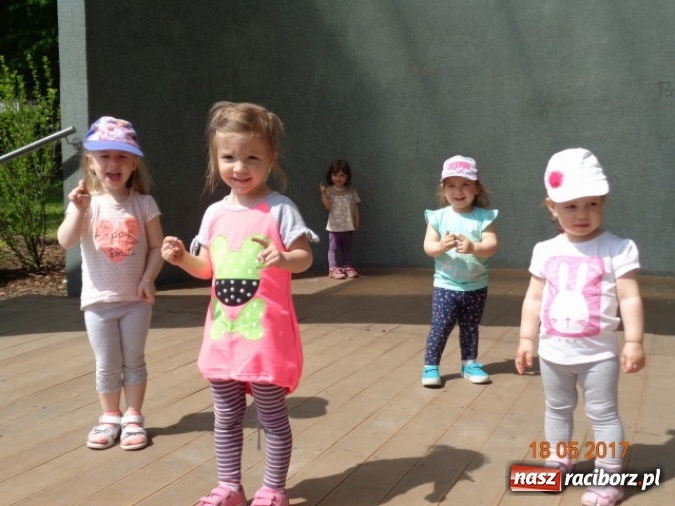 Zdjęcie w galerii na portalu naszraciborz.pl: Baw się z nami, Fikusiami  wiadomości z regionu