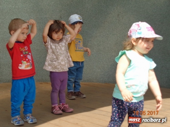 Zdjęcie w galerii na portalu naszraciborz.pl: Baw się z nami, Fikusiami  wiadomości z regionu