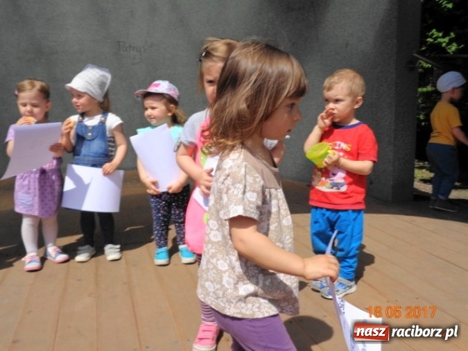 Zdjęcie w galerii na portalu naszraciborz.pl: Baw się z nami, Fikusiami  wiadomości z regionu