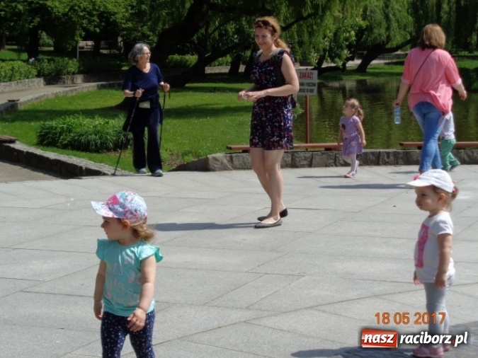 Zdjęcie w galerii na portalu naszraciborz.pl: Baw się z nami, Fikusiami  wiadomości z regionu