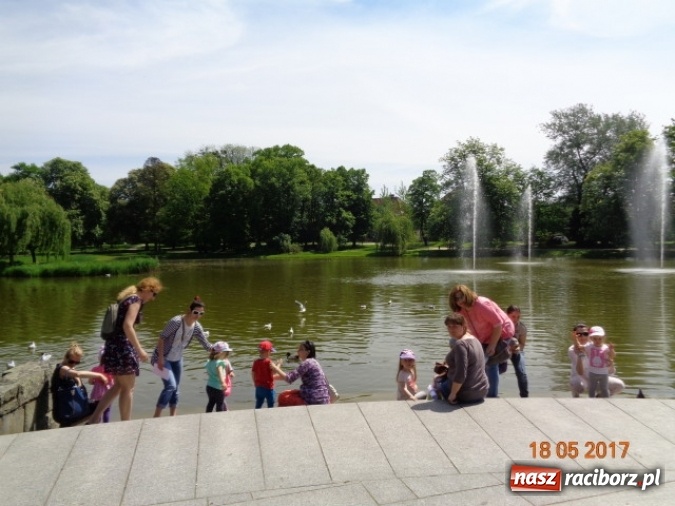 Zdjęcie w galerii na portalu naszraciborz.pl: Baw się z nami, Fikusiami  wiadomości z regionu