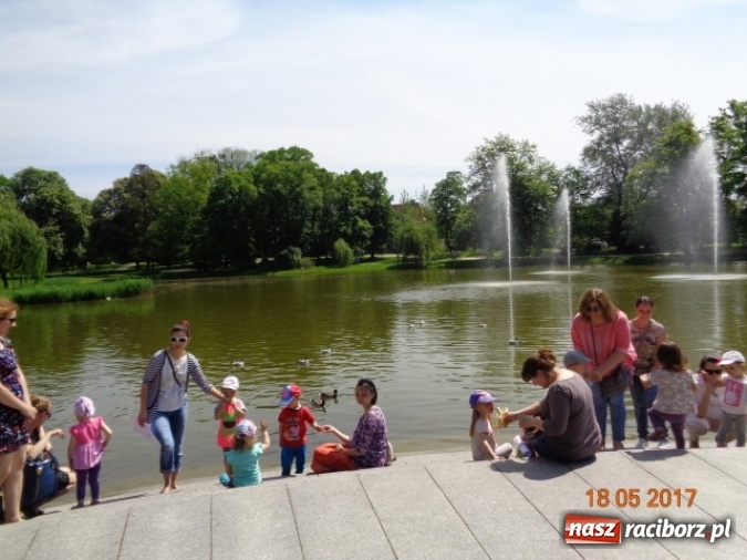 Zdjęcie w galerii na portalu naszraciborz.pl: Baw się z nami, Fikusiami  wiadomości z regionu