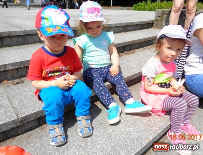 Zdjęcie w galerii na portalu naszraciborz.pl: Baw się z nami, Fikusiami  wiadomości z regionu