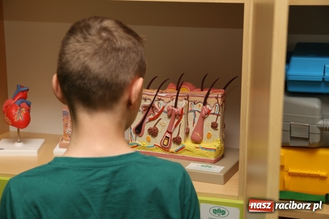 Zdjęcie w galerii na portalu naszraciborz.pl: Kolejna Zielona Pracownia już działa  wiadomości z regionu