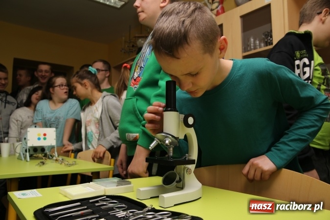 Zdjęcie w galerii na portalu naszraciborz.pl: Kolejna Zielona Pracownia już działa  wiadomości z regionu