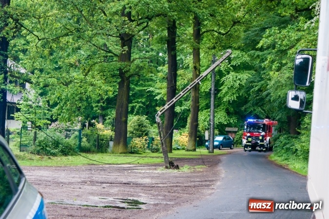 Zdjęcie w galerii na portalu naszraciborz.pl: Samochód dostawczy przewrócił słup energetyczny w Nędzy wiadomości z regionu
