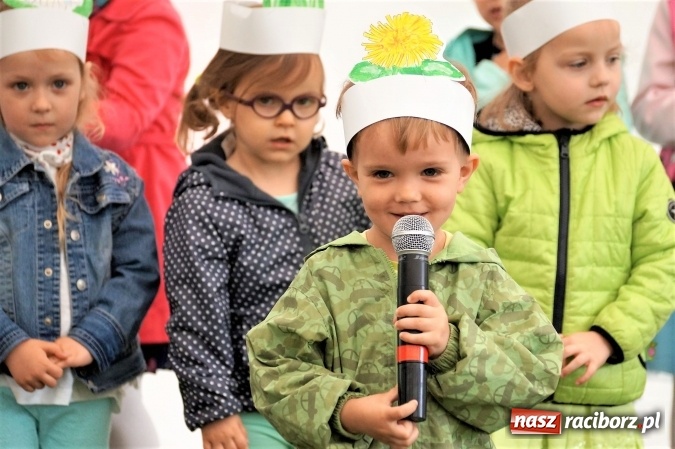 Zdjęcie w galerii na portalu naszraciborz.pl: Plastusie z Nędzy z programem dla rodziców  wiadomości z regionu