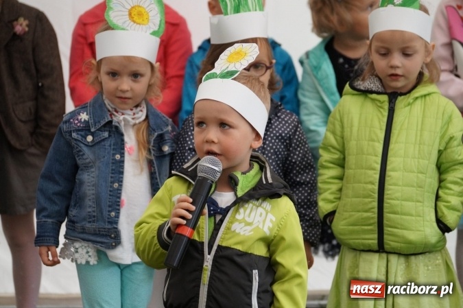 Zdjęcie w galerii na portalu naszraciborz.pl: Plastusie z Nędzy z programem dla rodziców  wiadomości z regionu