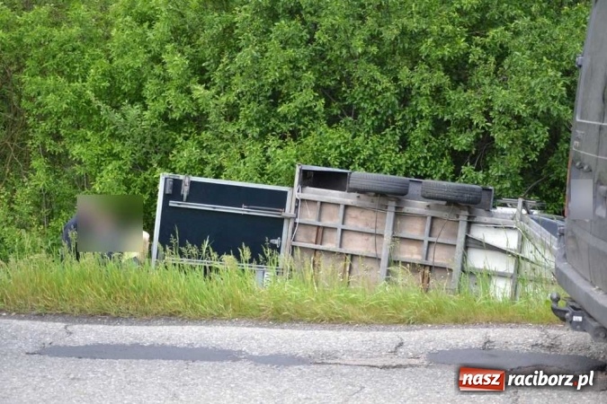 Zdjęcie w galerii na portalu naszraciborz.pl: Przyczepa z końmi wywróciła się na poboczu przy DW 919 Racibórz - Rudy- Gliwice FOTO wiadomości z regionu