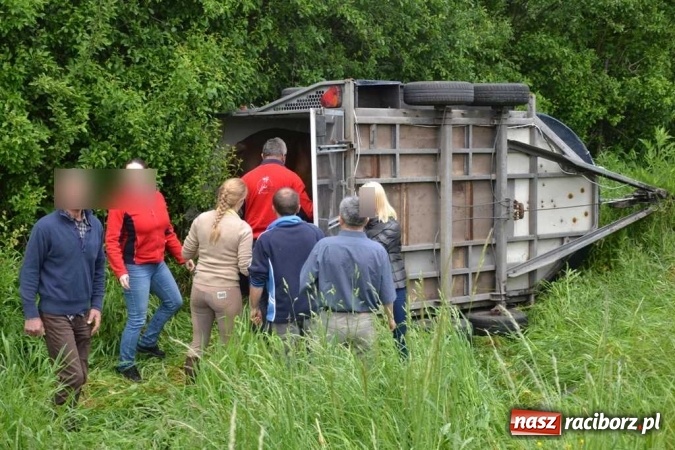 Zdjęcie w galerii na portalu naszraciborz.pl: Przyczepa z końmi wywróciła się na poboczu przy DW 919 Racibórz - Rudy- Gliwice FOTO wiadomości z regionu