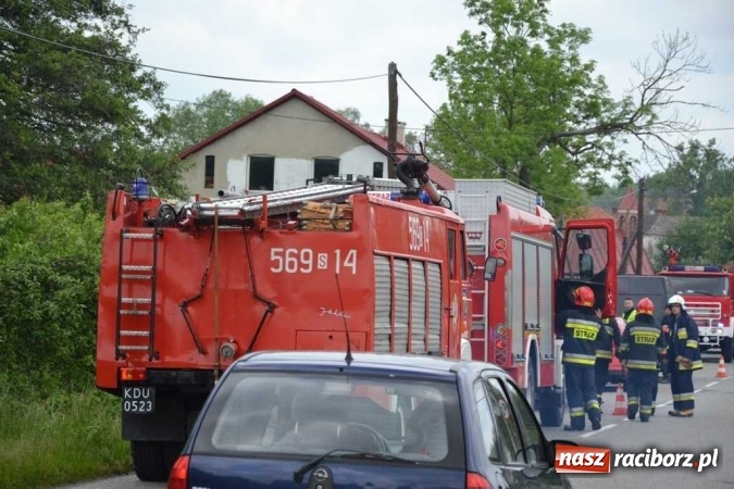 Zdjęcie w galerii na portalu naszraciborz.pl: Przyczepa z końmi wywróciła się na poboczu przy DW 919 Racibórz - Rudy- Gliwice FOTO wiadomości z regionu