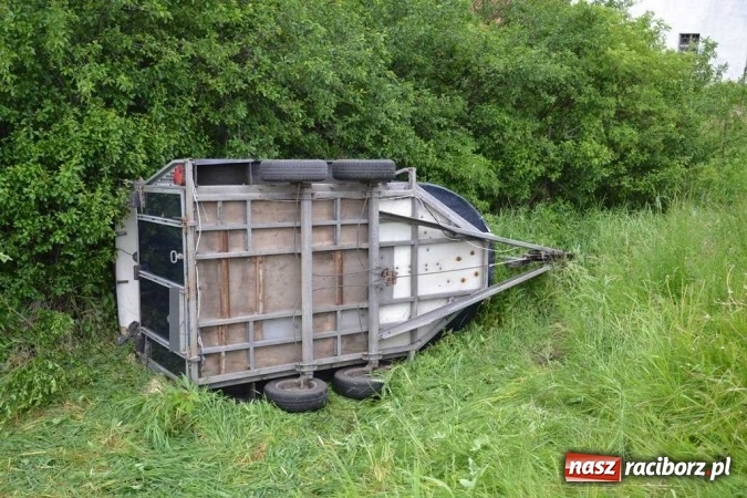 Zdjęcie w galerii na portalu naszraciborz.pl: Przyczepa z końmi wywróciła się na poboczu przy DW 919 Racibórz - Rudy- Gliwice FOTO wiadomości z regionu