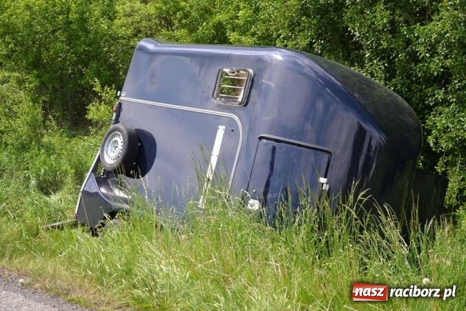 Zdjęcie w galerii na portalu naszraciborz.pl: Przyczepa z końmi wywróciła się na poboczu przy DW 919 Racibórz - Rudy- Gliwice FOTO wiadomości z regionu