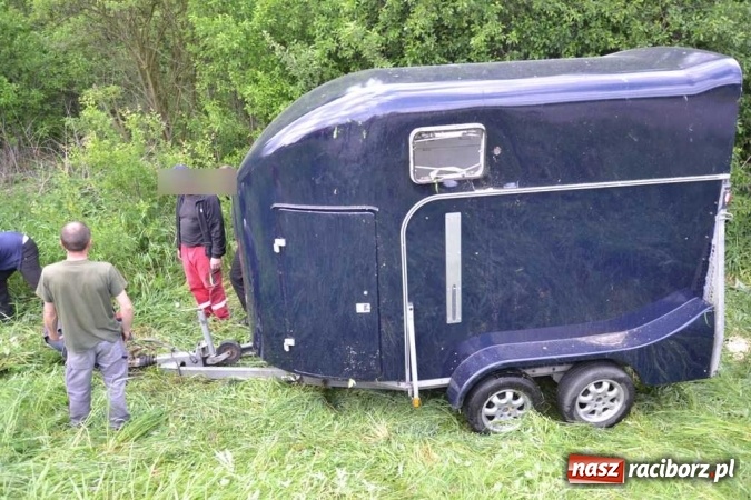 Zdjęcie w galerii na portalu naszraciborz.pl: Przyczepa z końmi wywróciła się na poboczu przy DW 919 Racibórz - Rudy- Gliwice FOTO wiadomości z regionu