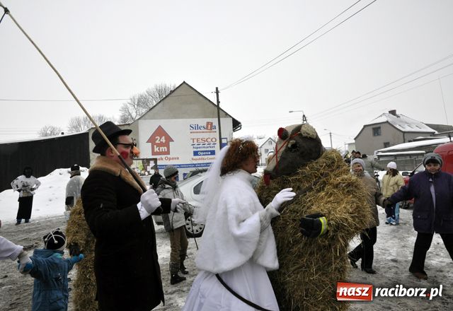 Zdjęcie w galerii na portalu naszraciborz.pl: TANZBÄR, czyli ostatki w Samborowicach wiadomości z regionu