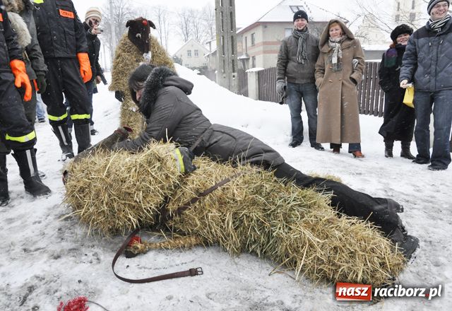 Zdjęcie w galerii na portalu naszraciborz.pl: TANZBÄR, czyli ostatki w Samborowicach wiadomości z regionu