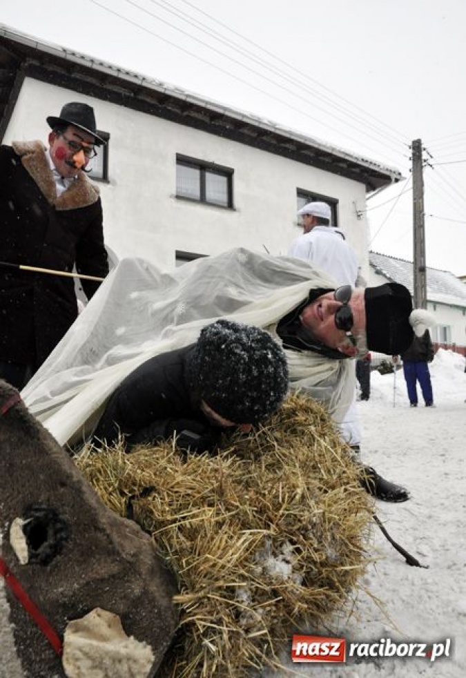 Zdjęcie w galerii na portalu naszraciborz.pl: TANZBÄR, czyli ostatki w Samborowicach wiadomości z regionu