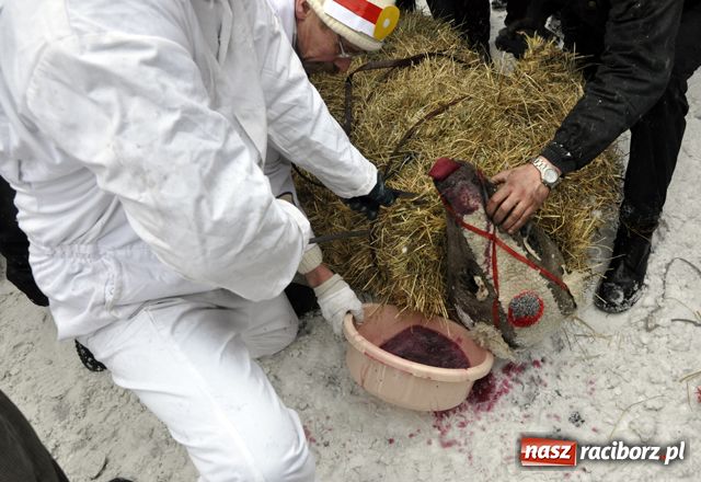 Zdjęcie w galerii na portalu naszraciborz.pl: TANZBÄR, czyli ostatki w Samborowicach wiadomości z regionu