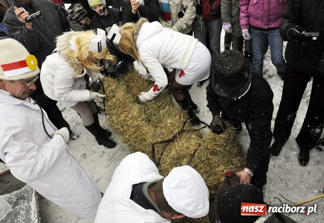 Zdjęcie w galerii na portalu naszraciborz.pl: TANZBÄR, czyli ostatki w Samborowicach wiadomości z regionu
