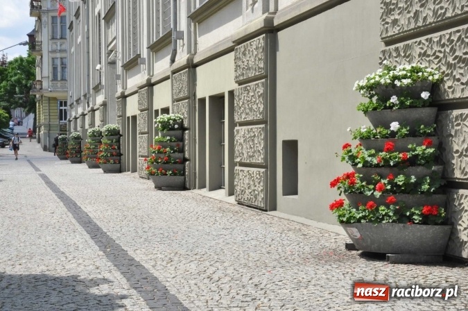 Zdjęcie w galerii na portalu naszraciborz.pl: Zieleń miejska pięknie przystroiła miasto na 800-lecie wiadomości z regionu