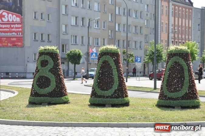 Zdjęcie w galerii na portalu naszraciborz.pl: Zieleń miejska pięknie przystroiła miasto na 800-lecie wiadomości z regionu