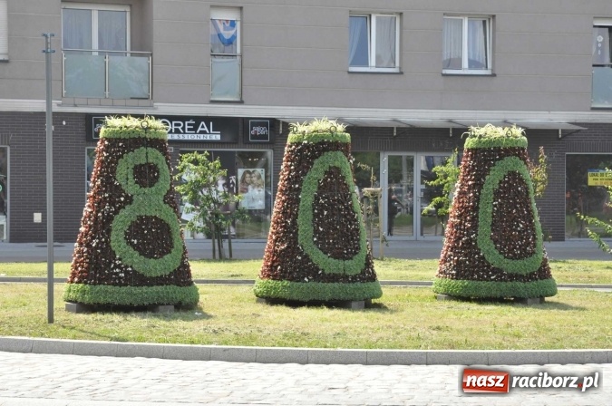 Zdjęcie w galerii na portalu naszraciborz.pl: Zieleń miejska pięknie przystroiła miasto na 800-lecie wiadomości z regionu