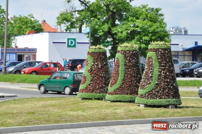 Zdjęcie w galerii na portalu naszraciborz.pl: Zieleń miejska pięknie przystroiła miasto na 800-lecie wiadomości z regionu