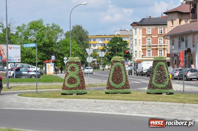 Zdjęcie w galerii na portalu naszraciborz.pl: Zieleń miejska pięknie przystroiła miasto na 800-lecie wiadomości z regionu