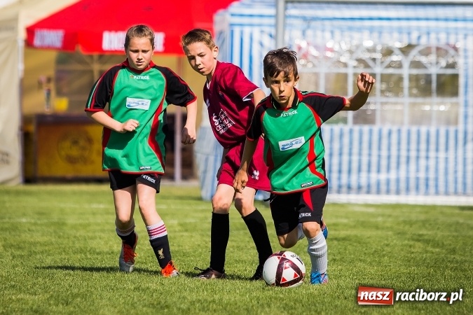 Zdjęcie w galerii na portalu naszraciborz.pl: Wielki Piknik Rodzinny i Turniej Orlików w Zawadzie Książęcej wiadomości z regionu