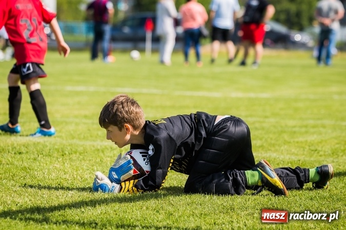 Zdjęcie w galerii na portalu naszraciborz.pl: Wielki Piknik Rodzinny i Turniej Orlików w Zawadzie Książęcej wiadomości z regionu