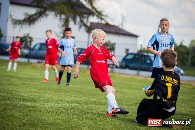 Zdjęcie w galerii na portalu naszraciborz.pl: Wielki Piknik Rodzinny i Turniej Orlików w Zawadzie Książęcej wiadomości z regionu
