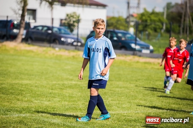 Zdjęcie w galerii na portalu naszraciborz.pl: Wielki Piknik Rodzinny i Turniej Orlików w Zawadzie Książęcej wiadomości z regionu
