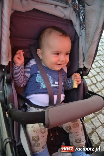 Zdjęcie w galerii na portalu naszraciborz.pl: Kolejny zlot food trucków na raciborskim zamku wiadomości z regionu