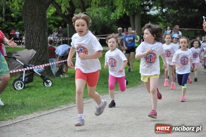 Zdjęcie w galerii na portalu naszraciborz.pl: Pół tysiąca dzieci i młodzieży na XI Biegu Profilaktycznym w parku im. Miasta Roth wiadomości z regionu