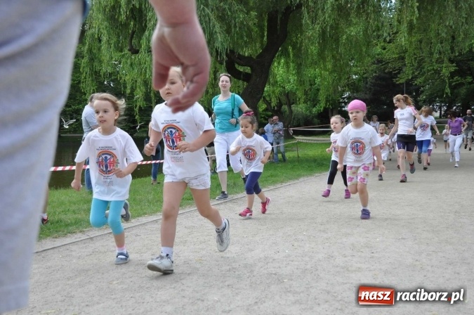 Zdjęcie w galerii na portalu naszraciborz.pl: Pół tysiąca dzieci i młodzieży na XI Biegu Profilaktycznym w parku im. Miasta Roth wiadomości z regionu