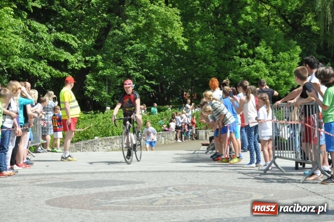Zdjęcie w galerii na portalu naszraciborz.pl: Pół tysiąca dzieci i młodzieży na XI Biegu Profilaktycznym w parku im. Miasta Roth wiadomości z regionu