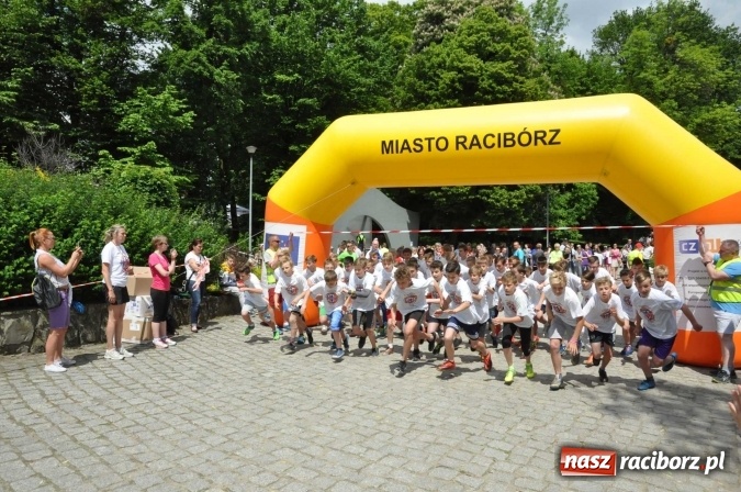 Zdjęcie w galerii na portalu naszraciborz.pl: Pół tysiąca dzieci i młodzieży na XI Biegu Profilaktycznym w parku im. Miasta Roth wiadomości z regionu