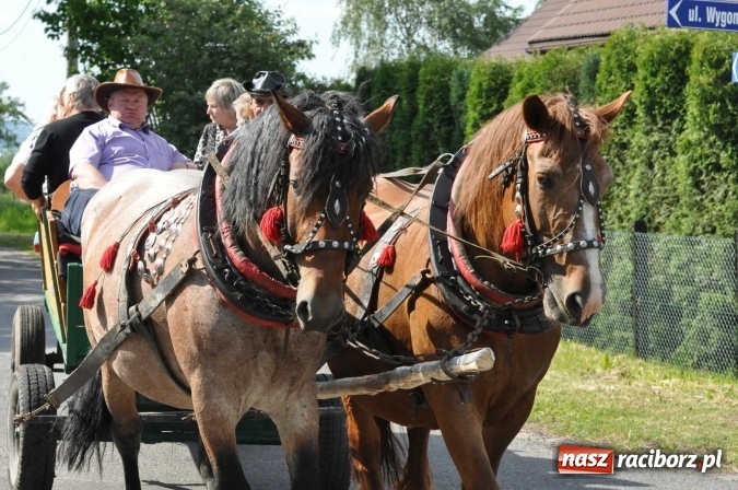 Zdjęcie w galerii na portalu naszraciborz.pl: Brzezie zaprasza na procesję św. Urbana  wiadomości z regionu