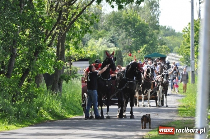 Zdjęcie w galerii na portalu naszraciborz.pl: Brzezie zaprasza na procesję św. Urbana  wiadomości z regionu