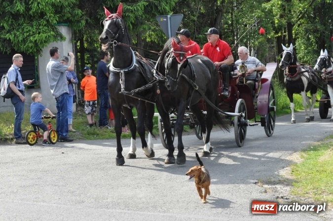 Zdjęcie w galerii na portalu naszraciborz.pl: Brzezie zaprasza na procesję św. Urbana  wiadomości z regionu