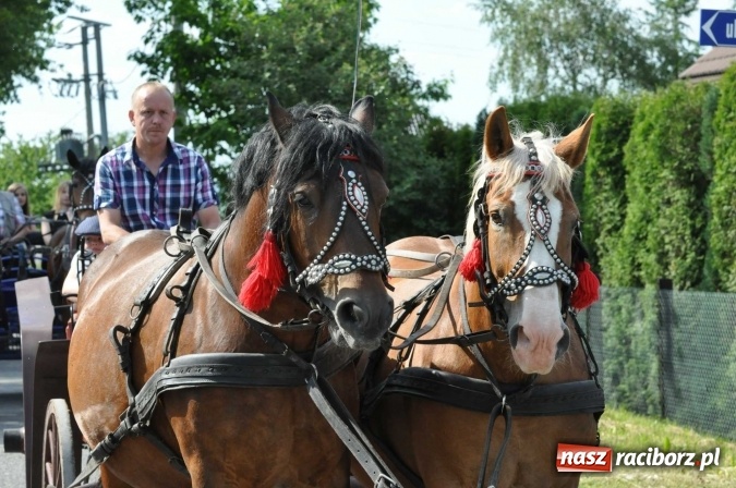 Zdjęcie w galerii na portalu naszraciborz.pl: Brzezie zaprasza na procesję św. Urbana  wiadomości z regionu