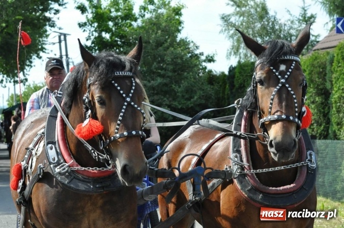 Zdjęcie w galerii na portalu naszraciborz.pl: Brzezie zaprasza na procesję św. Urbana  wiadomości z regionu