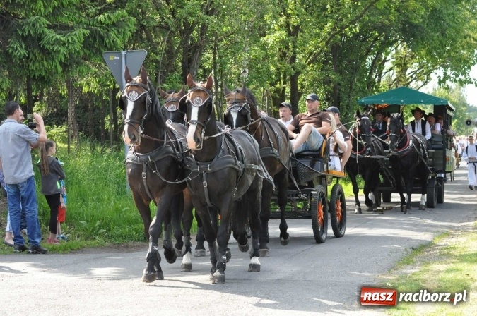 Zdjęcie w galerii na portalu naszraciborz.pl: Brzezie zaprasza na procesję św. Urbana  wiadomości z regionu